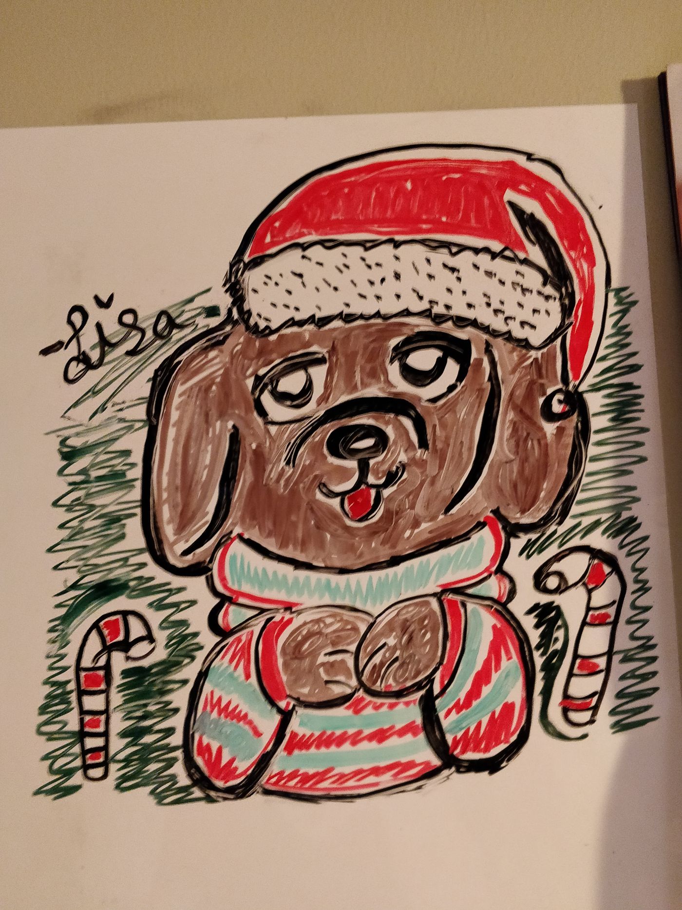 december dog.jpg