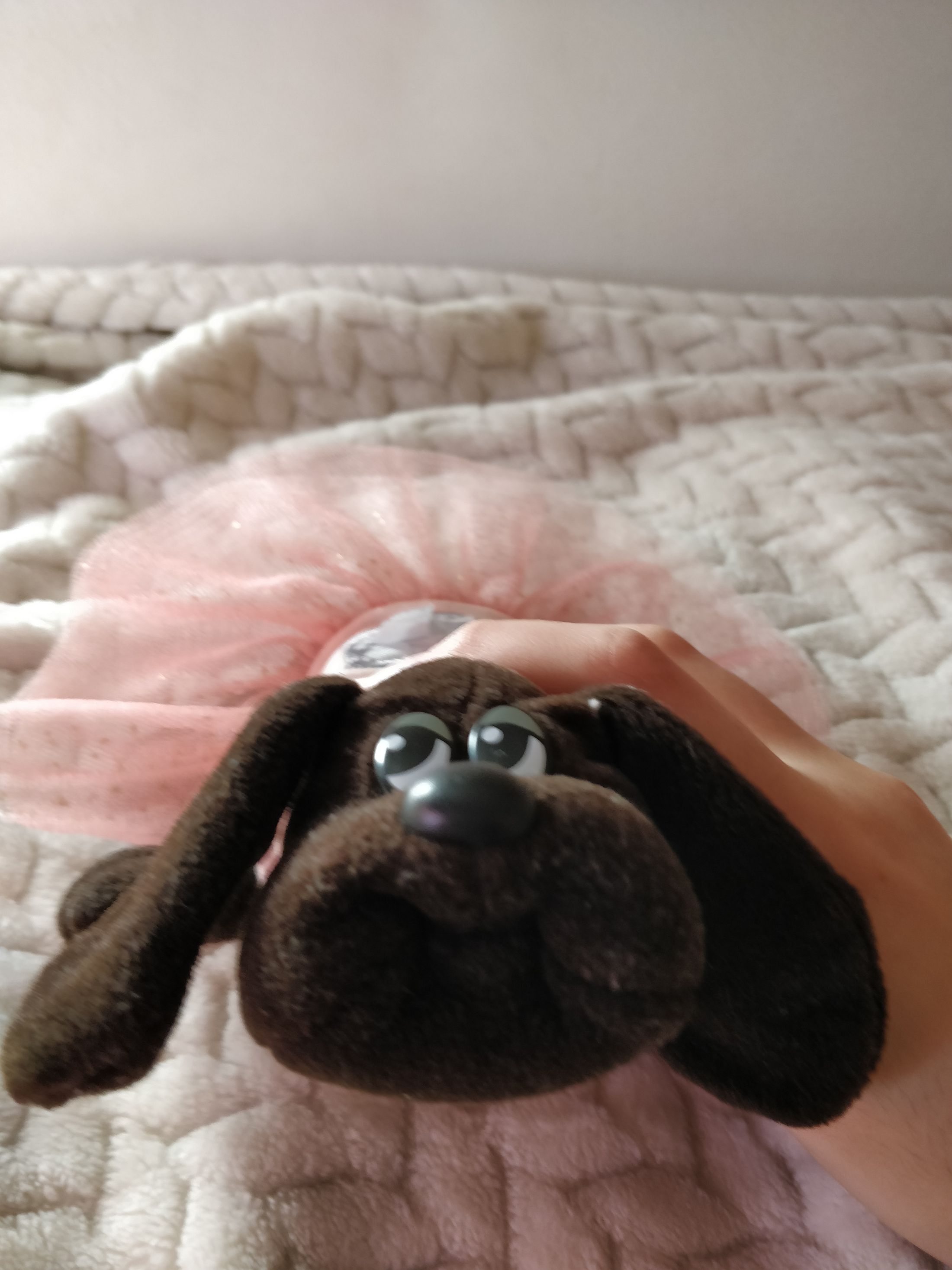 zoey 2.jpg