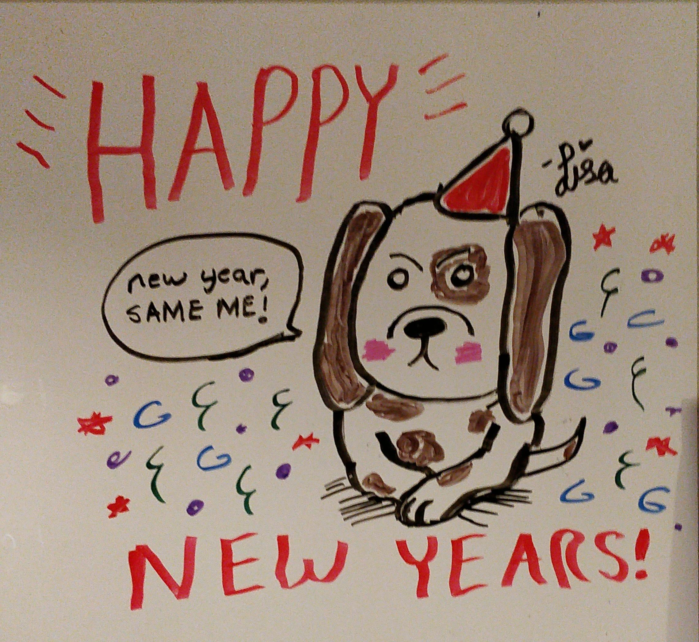 new years dog.jpg