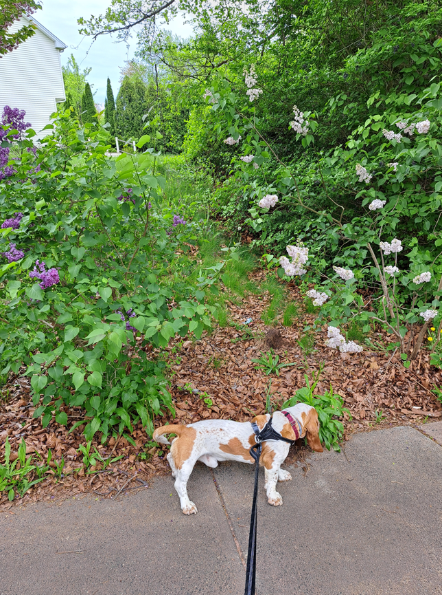 2024-06-22 17_25_06-20240509_144521.jpg ‎- Photos.png