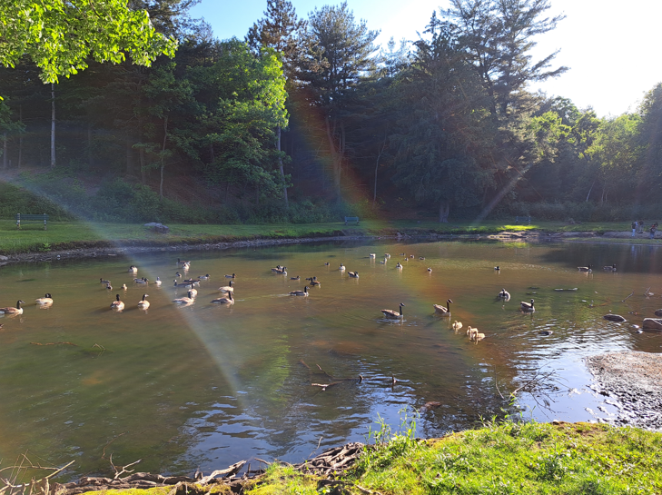 2024-07-08 13_31_49-Window2.png